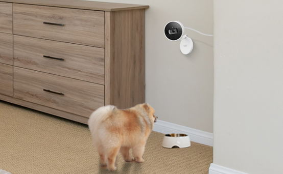 Kamera für Zuhause – Smarte Sicherheit in den eigenen vier Wänden