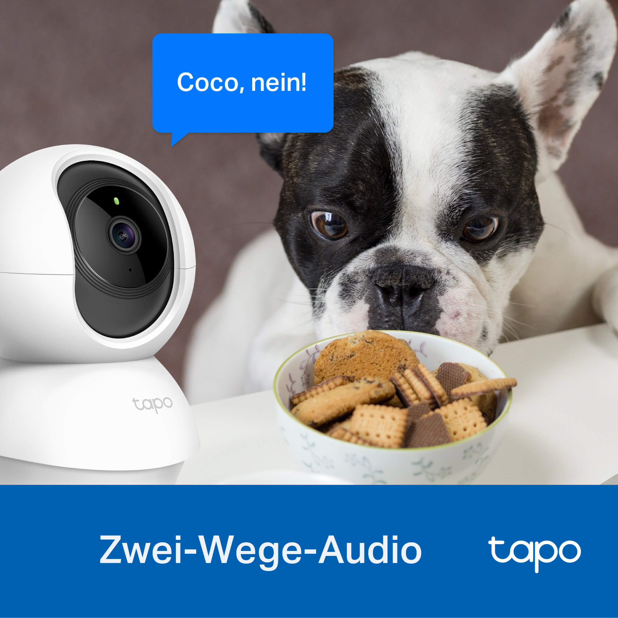 Tapo C210 - überwachungskamera innen