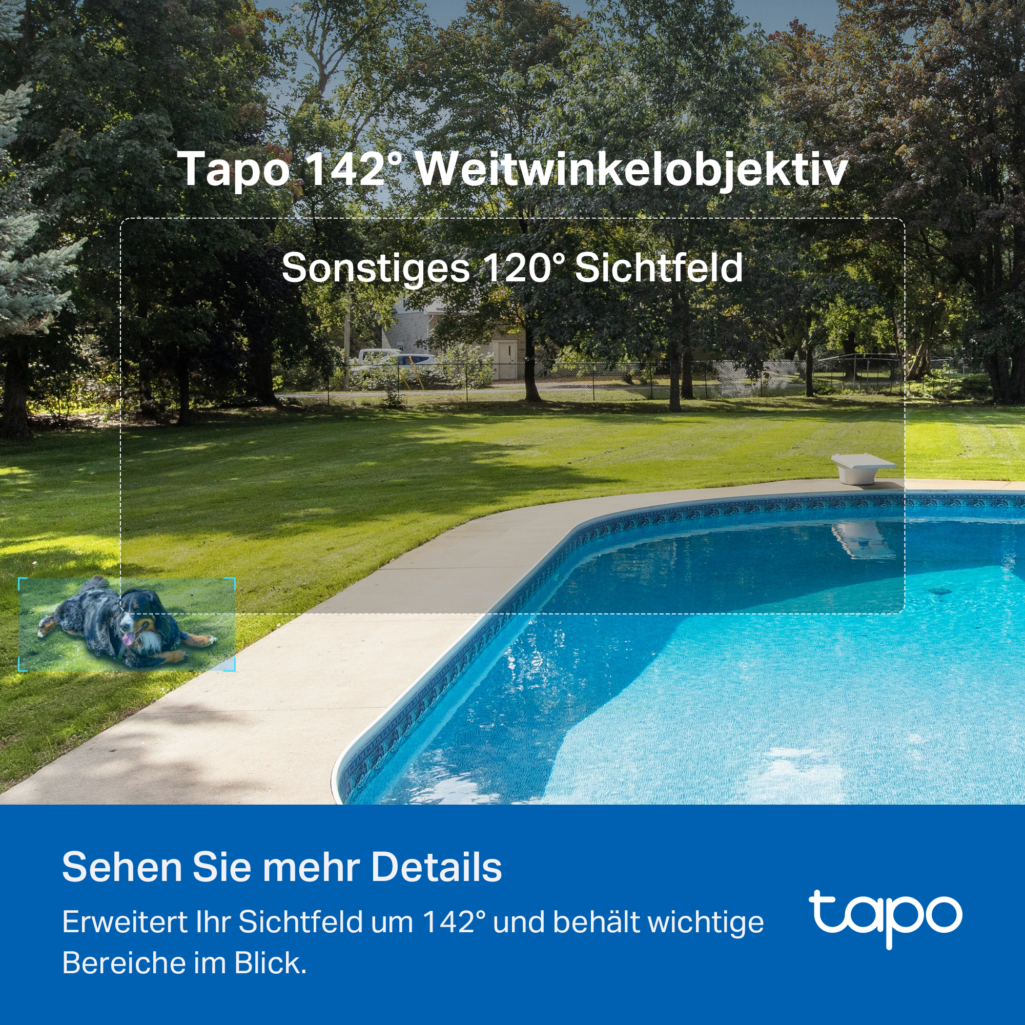 Tapo C425 Kit Solarpanel-Set, 10000mAh-Akku - Surveillance Cameras