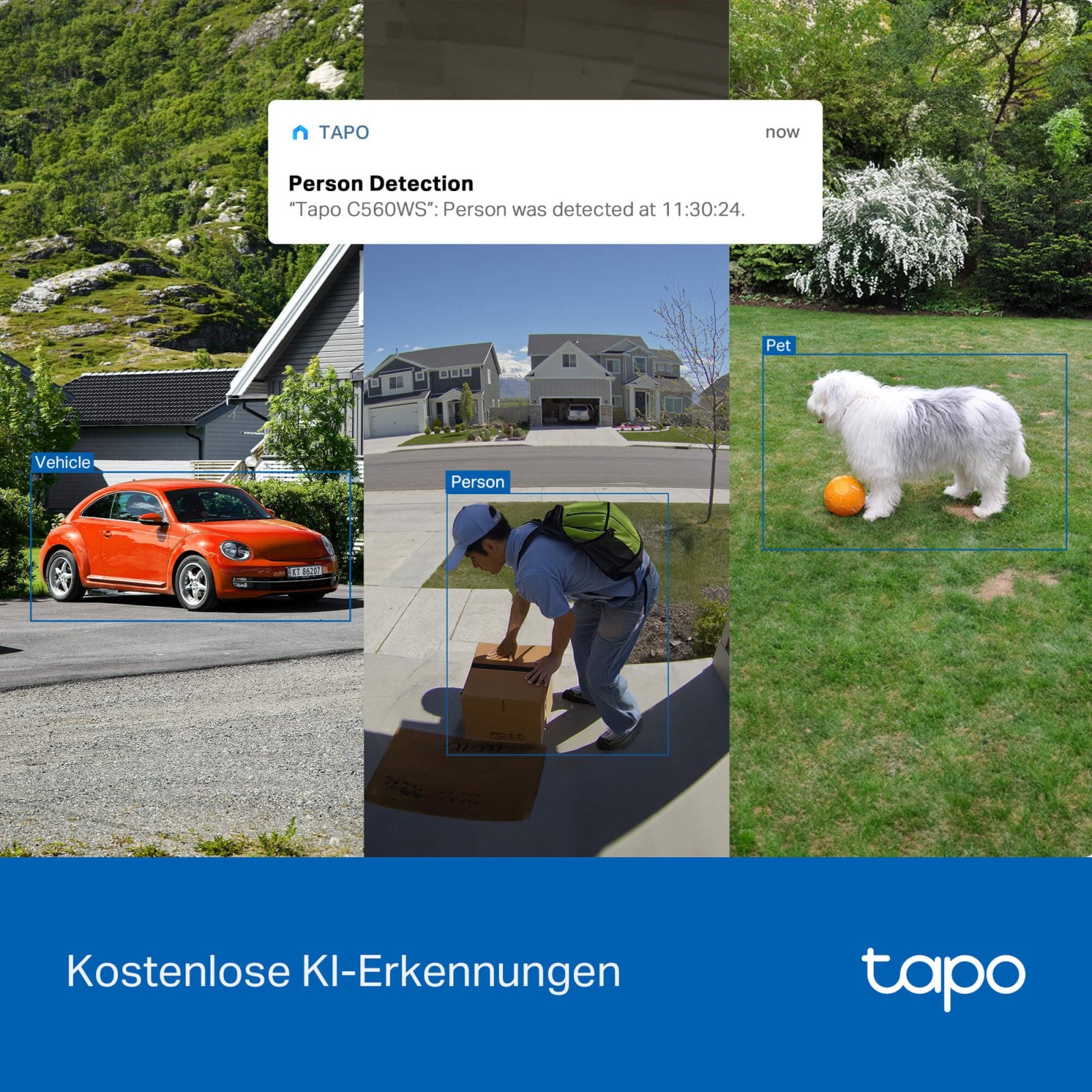 Tapo C560WS 4K 8MP, 360° Abdeckung, Starlight Farb - Nachtsicht, LAN - Anschluss - Tapo C560WS