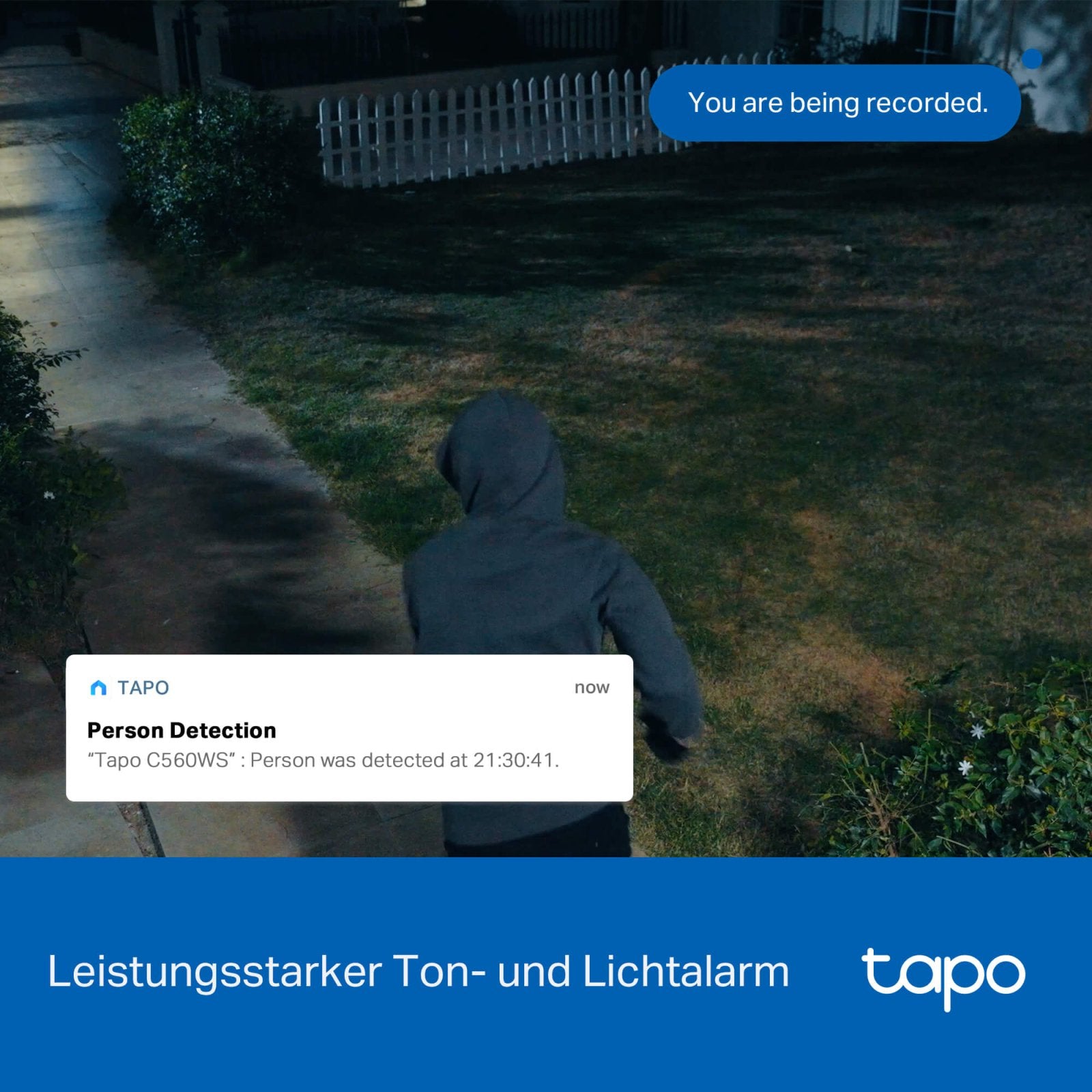 Tapo C560WS 4K 8MP, 360° Abdeckung, Starlight Farb - Nachtsicht, LAN - Anschluss - Tapo C560WS