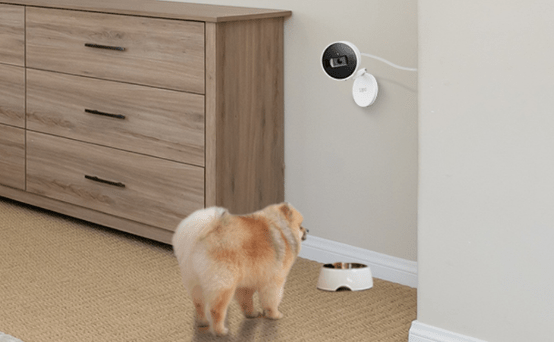 Kamera für Zuhause – Smarte Sicherheit in den eigenen vier Wänden - TP-Link Tapo Deutschland