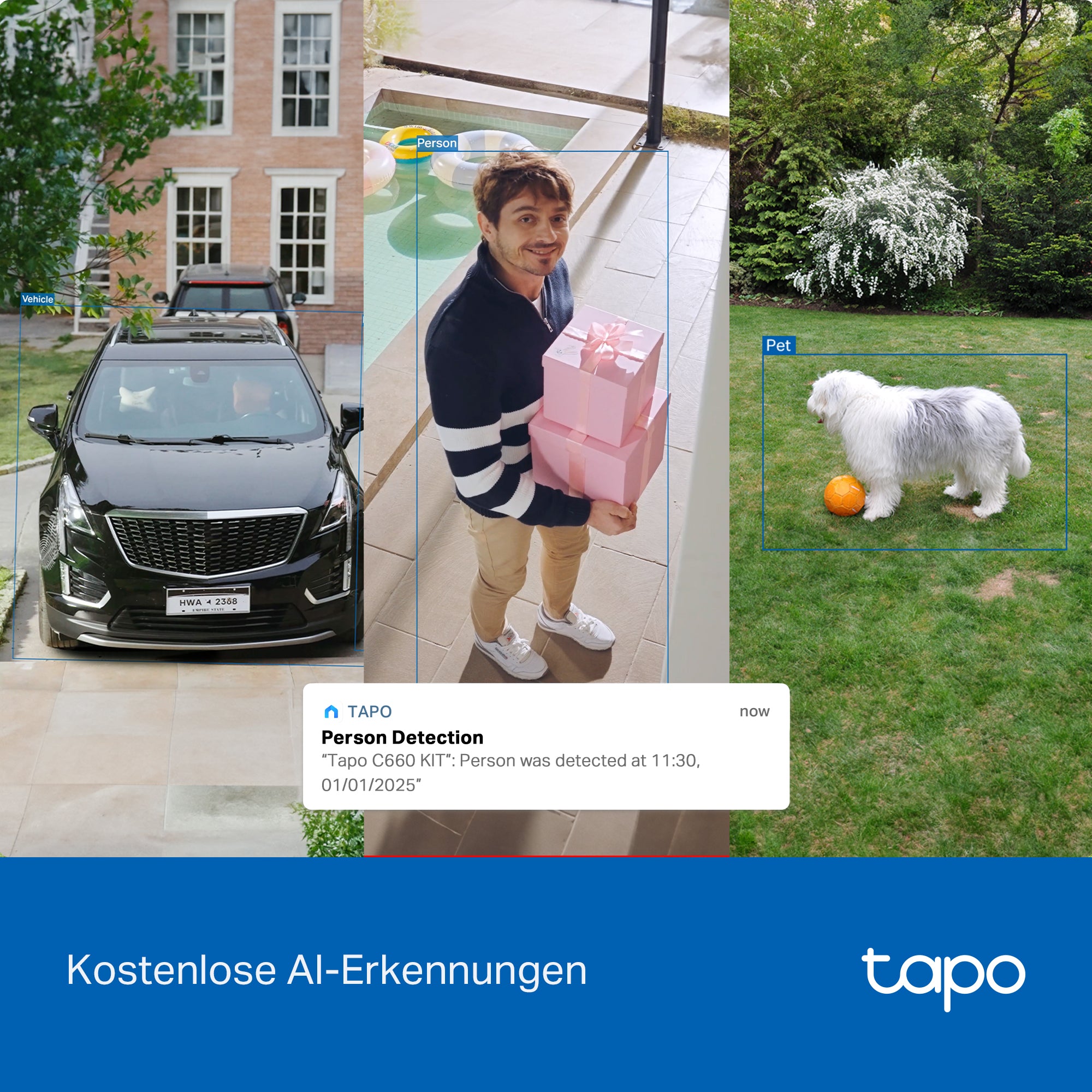 Tapo C660 KIT 4K 8MP 360°, Solarpanel-Set