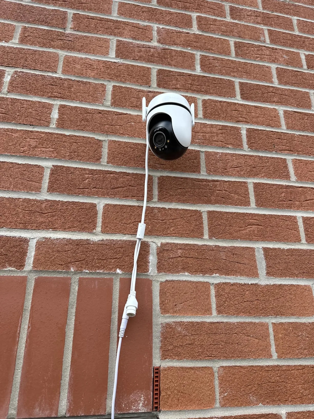 Esempio di immagine da telecamera Tapo in esterno