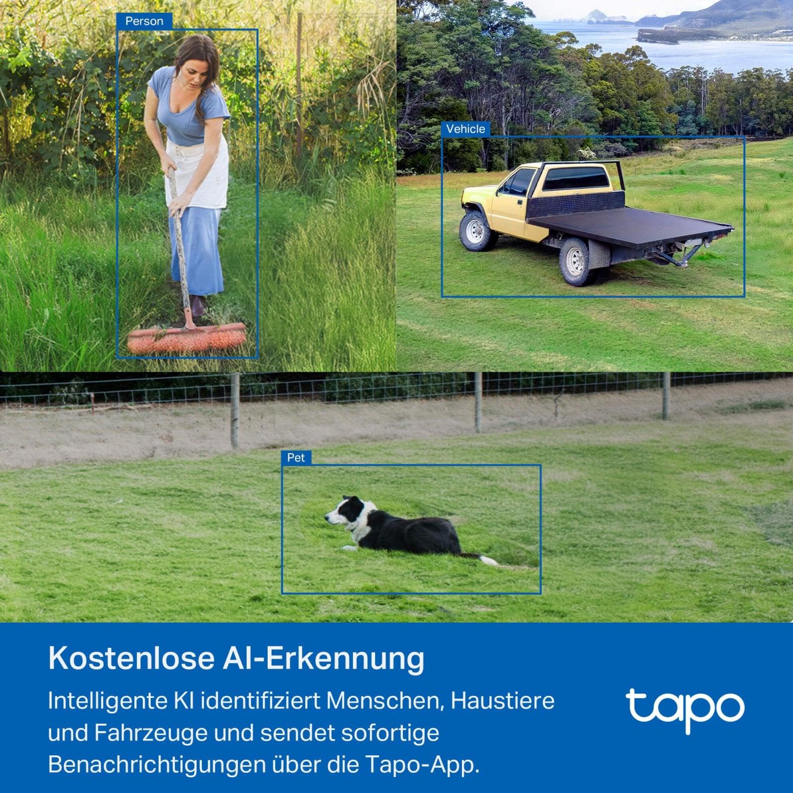 Tapo C501GW 360° Überwachungskamera mit SIM - Karte - Tapo C501GW