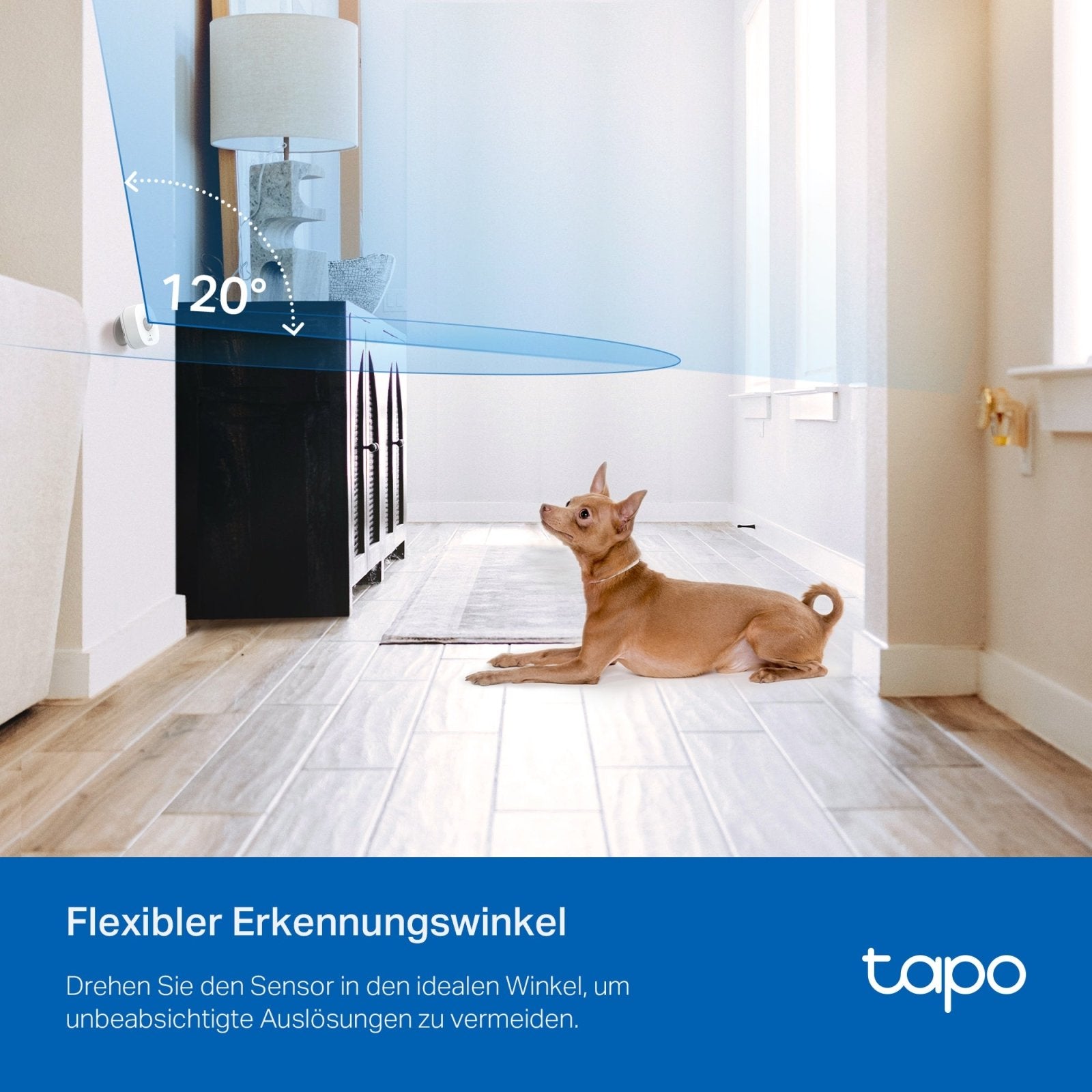 Tapo T100 Bewegungssensor - Tapo T100
